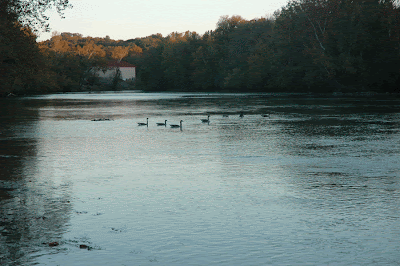 4. Holston River along John Sevier Hwy under I 40 Bridge