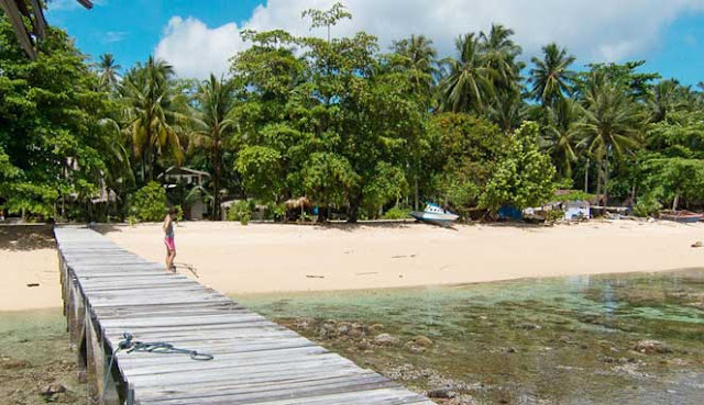 JELAJAHI TAMAN LAUT TELUK WEDA DI HALMAHERA TENGAH JELAJAHI TAMAN LAUT TELUK WEDA DI HALMAHERA 