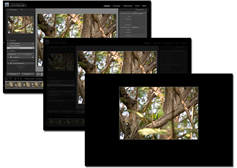 Lightroom 2 | Lights Out