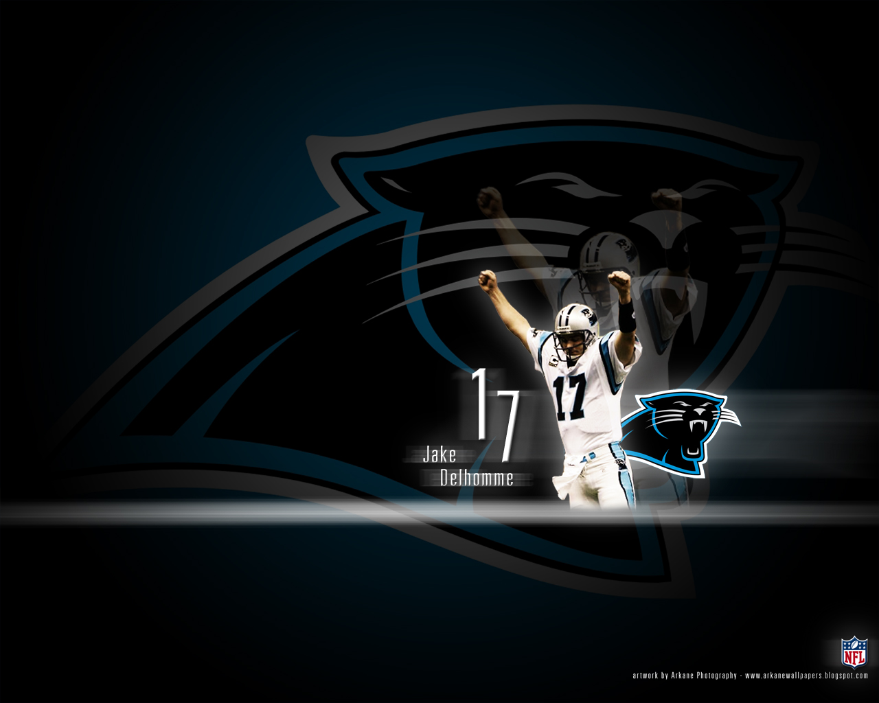 ... nfl wallpapers jake delhomme carolina panthers nfl wallpapers ray