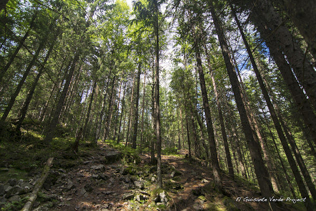 Senderos de Sognsvann  a Ullevålseter - Oslo por El Guisante Verde Project