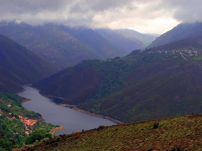 Madeira | Madeira island