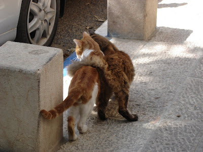 Walking away together