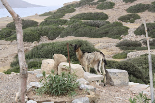 sejour en crete 