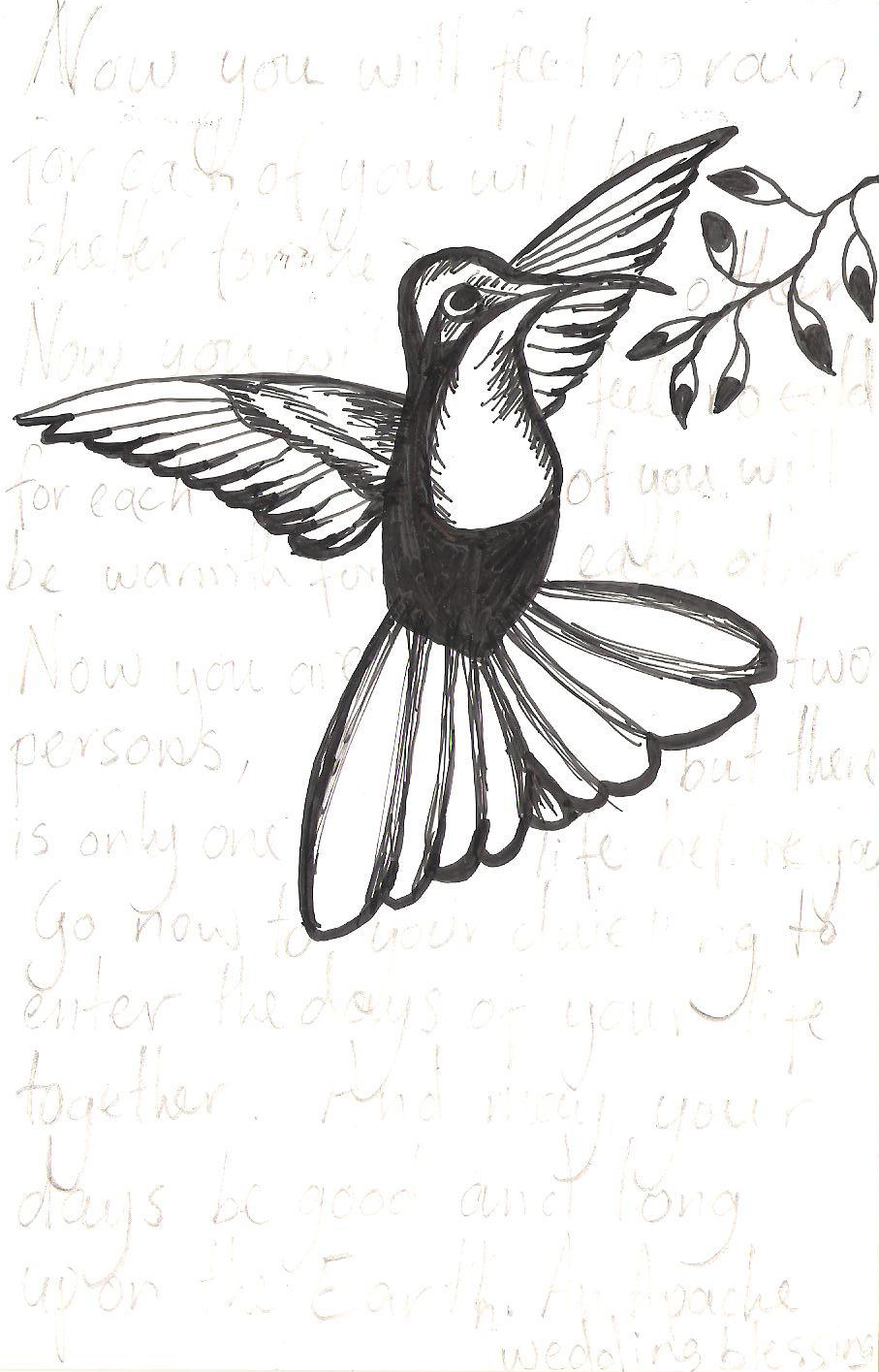 hummingbird wedding  anniversary  card Aggie s Drawings 