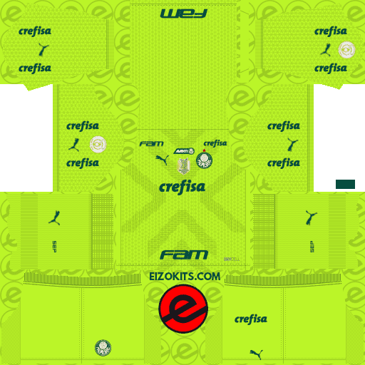 Palmeiras Kits 2023-2024 Puma - Brasileirao 2023 - DLS2019 Kits (Goalkeeper Home)