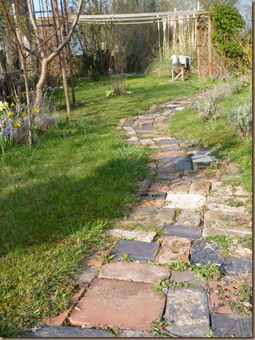 garden march 017