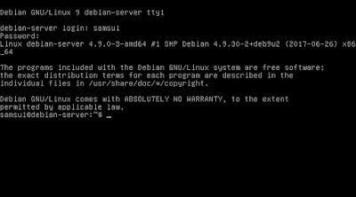 Cara Install Debian 9 Mode CLI Lengkap Dengan Gambar