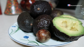 Don't Eat AVOCADO SEEDS, Do This Instead | DiscoveringNatural