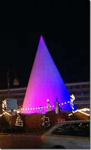 Der Weihnachtsbaumersatz in Berlin