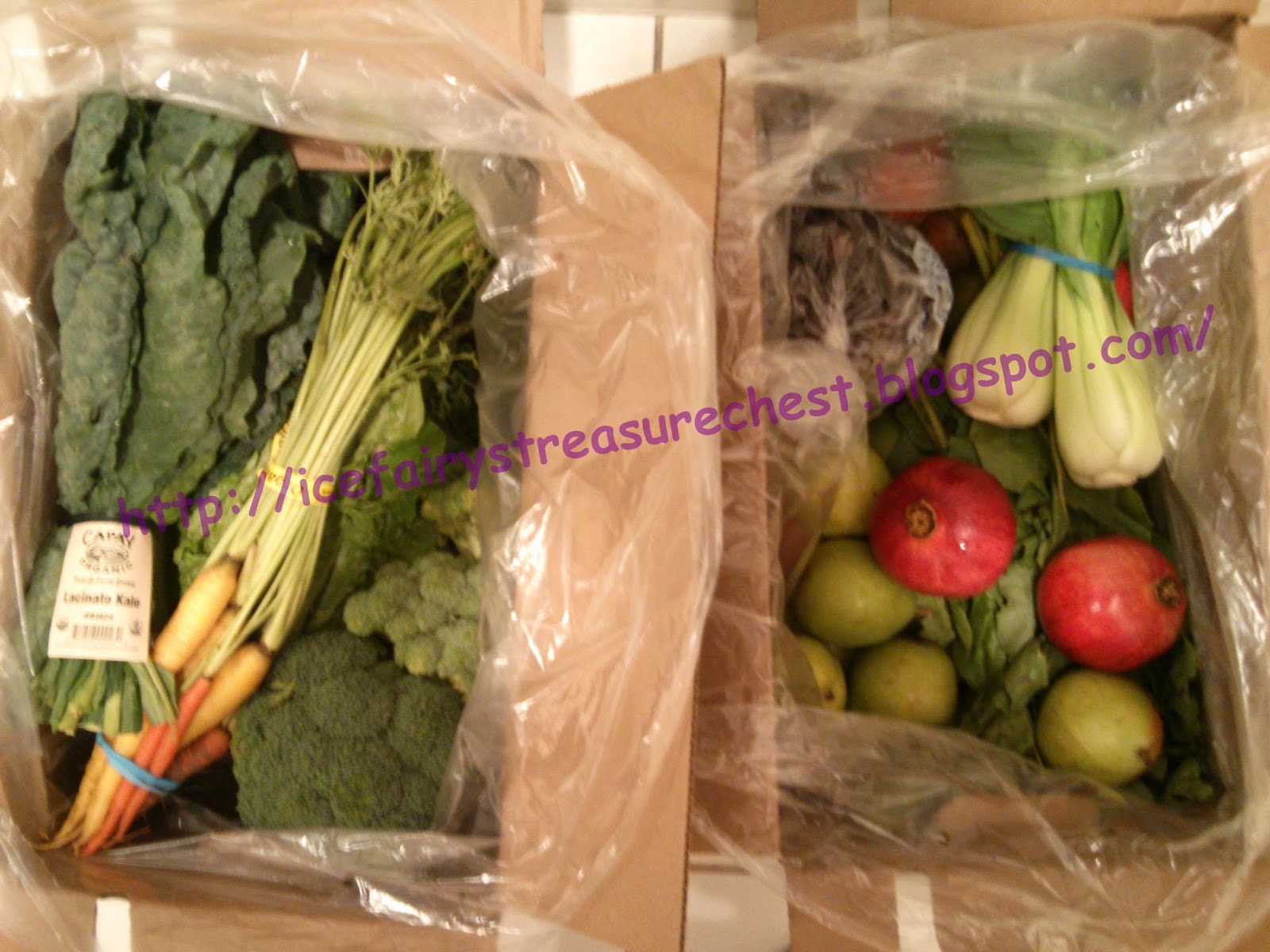 Icefairy S Treasure Chest Farm Fresh To You Organic Produce Review