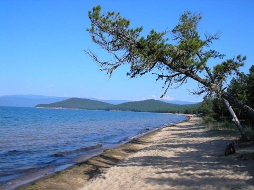 clip_image003