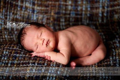 Newborn Baby Photographs on Ward  Denver Newborn Baby Portrait Photography    Oliver  8 Days Old