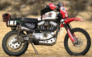 the frijole 883 desert sportster