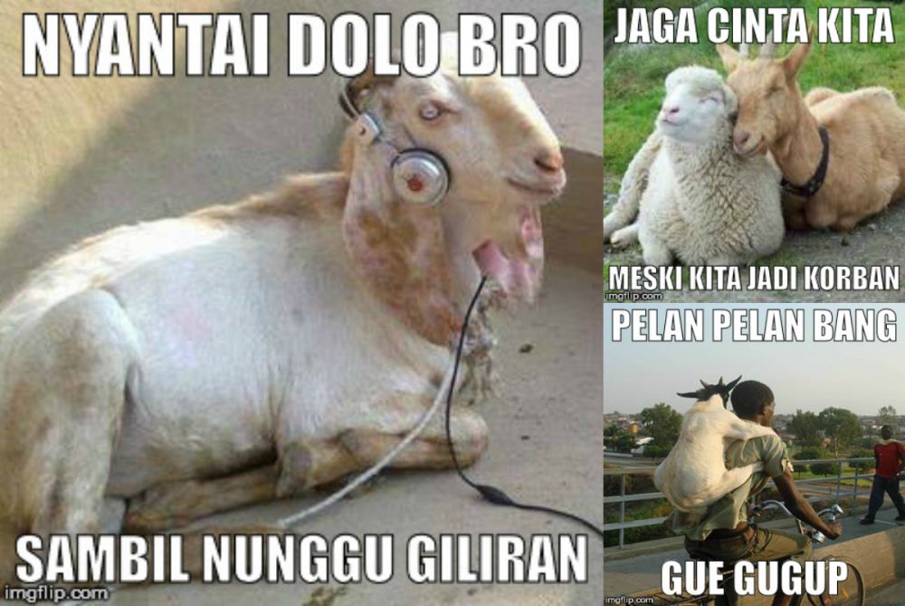 20 Meme 'Pesan Terakhir Kambing & Sapi' Ini Ceriakan Idul 