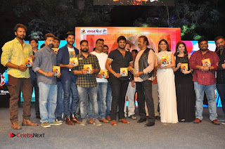 turodu Telugu Movie Audio Launch Stills  0024.jpg