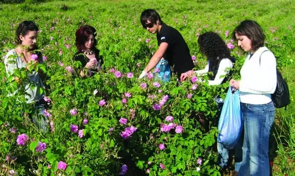 Χαράτσι σε όσους έχουν εισόδημα από αγροτική δραστηριότητα!