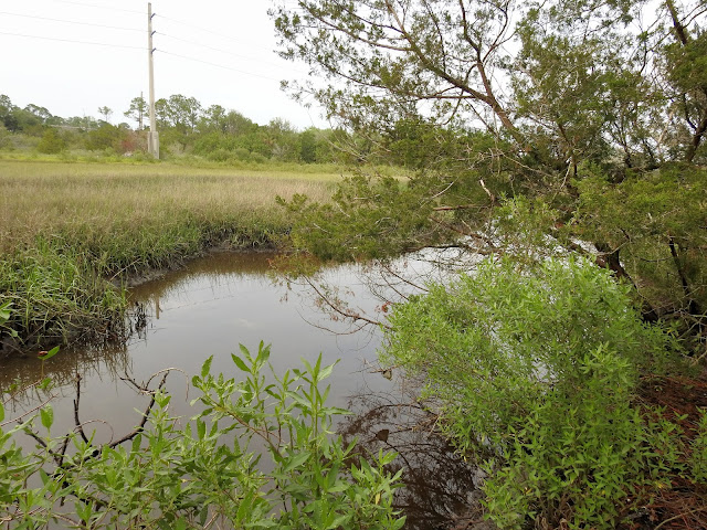 Joe Pomar, Jr. Park