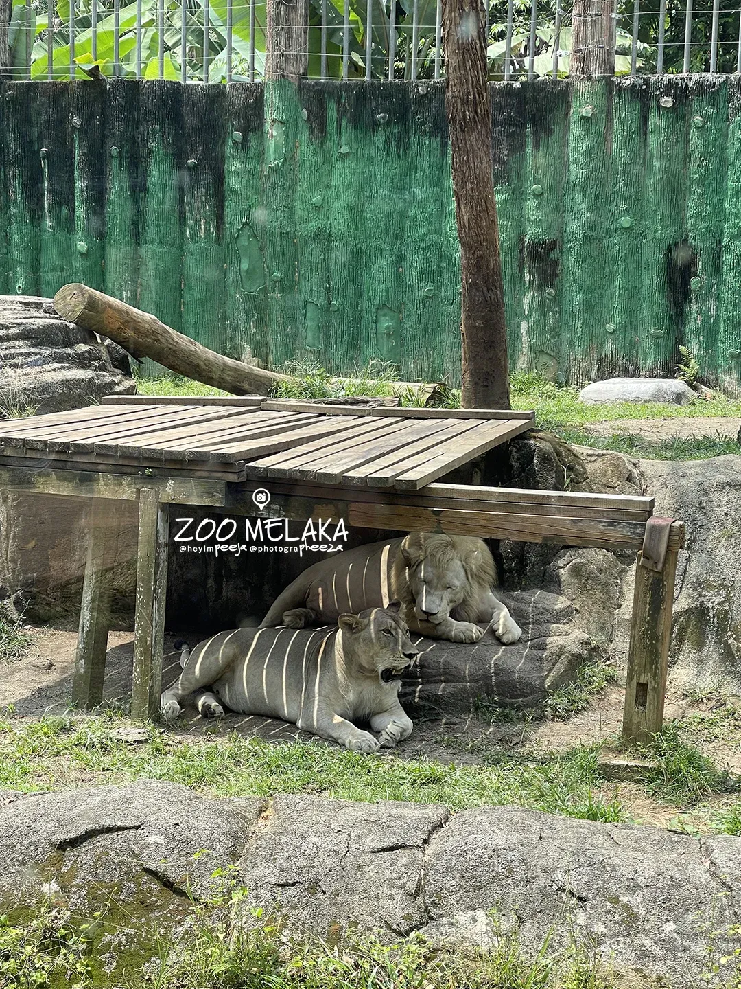 ZOO Melaka