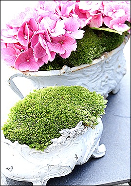 blog 7