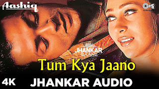 90s Jhankar Song: Tum Kya Jaano | Alka Yagnik | Udit Narayan | Aashiq | Bobby Deol | Karisma Kapoor