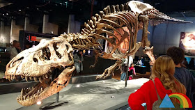 Exposición T-Rex en CosmoCaixa Barcelona