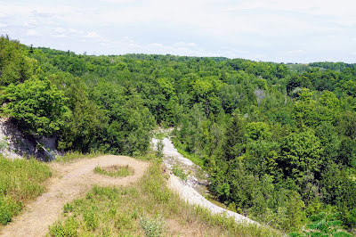 View from Lookout Deck on Vista Trail, Rouge National Park