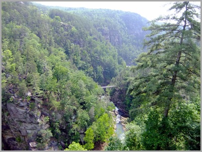 Suspension Bridge as seen from Overlook 6
