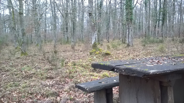 Chambord randonnée en forêt