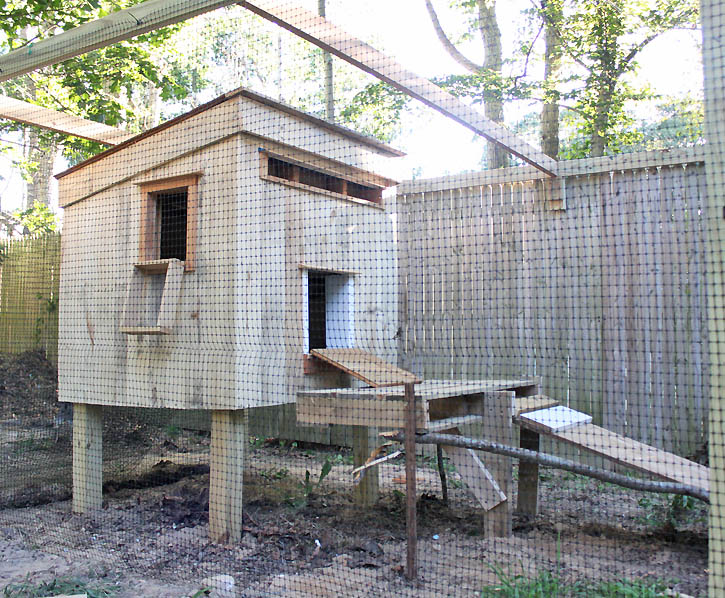 chicken coop from recycled pallets