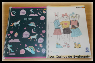 Cuadernos low cost Tedi