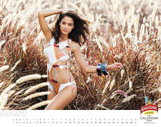 Kingfisher Calendar 2011 - January