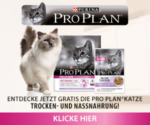  Gratis für Deine Katze: Kostprobe von PRO PLAN® DELICATE!