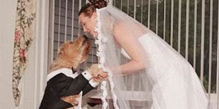 Menikah Dengan Anjing