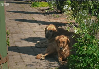 Nigel and Nell from Gardeners' World