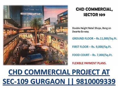 CHD DEVELOPER COMMERCIAL 109 GURGAON,