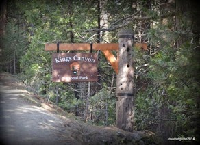 King's Canyon National Park