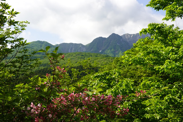 鳥取県西伯郡大山町豊房　香取の山道からの眺め　大山