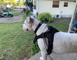 Photo (c)2021 Shannon G. Wamsley Photo Taken 12 June 2021
