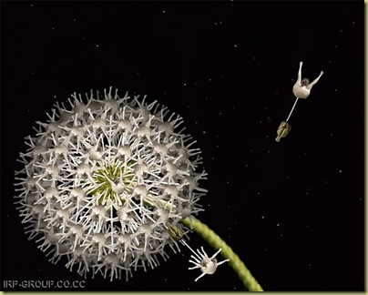 flores humanas 3