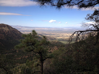 hiking the super trail in madera canyon