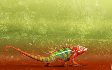 #3 Iguana Wallpaper