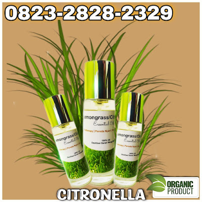 Pewangi Ruangan Spray, Pewangi Ruangan Semprot, Pewangi Ruangan Rumah Sakit, Pewangi Ruangan Rumah