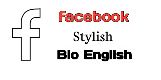 facebook stylish bio english