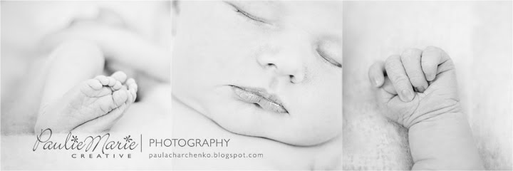 Minneapolis Newborn Photographer