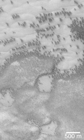 Mars Polar Dune