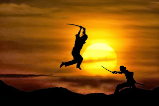 Martial Arts wallpaper, martial art fight photography, 