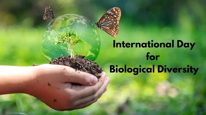 International Day for Biological Diversity 2023: Date, theme, quotes and wishes to share