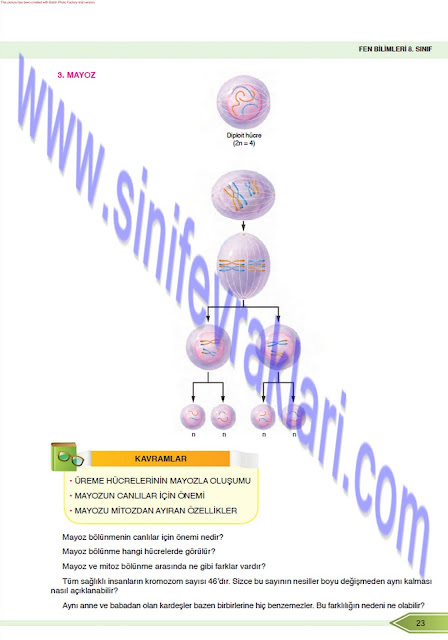 8. Sınıf Fen Bilimleri Ders Kitabı Cevapları Öğün Yayınları Sayfa 23